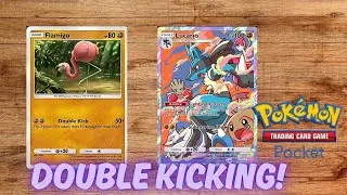 WE ONE SHOT WHAT POKEMON!? FLAMIGO IS HERE TO DOUBLE KICK EVERYONE!