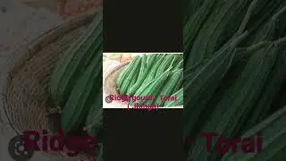 Jhinga ka English ## Torai ka English ##