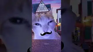 CAT MEME: A man tries to learn French.