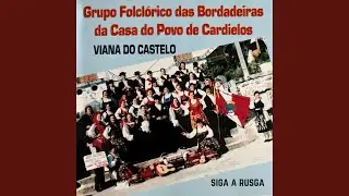 Vira Velho