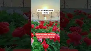 jika ada angin puting beliung