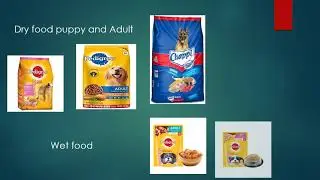 WELCOME TO CITYPET