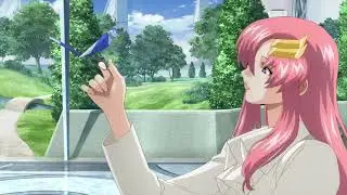 Gundam Seed Freedom AMV