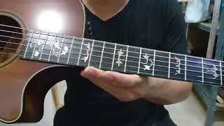 Taylor Namm 2011 Custom GC-W-12F Grafted Walnuts (2011, USA) [FB:กีต้าร์มือสอง um]