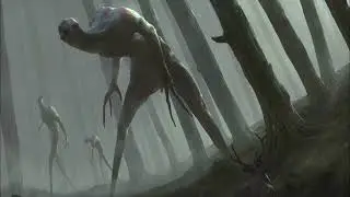 HaXim - Durable