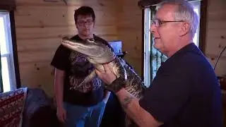Wally Made The News Again