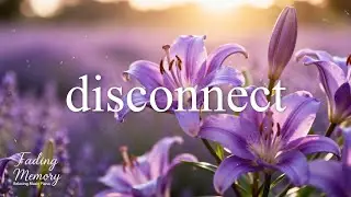 Disconnect for a While 💖Relaxing Piano Music for Sleep & Deep Focus | Peaceful Instrumental Breathe