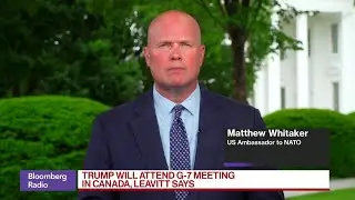 US Wants Clear NATO Plan to Boost Defense Budgets: &nbsp;Matthew Whitaker