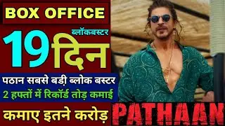 Pathaan Box Office Collection Record, Pathaan Day 19 Collection