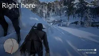 Red Dead Redemption 2 Arabıc Horse Capture and location / Rdr 2 Arap Atı Yakalama