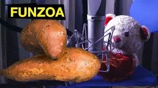 Your Love Is Like A Sweet Potato- Funny Love Song | English Aloo Song