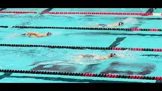 TYR Long Course 1/17/26: 200M BK.