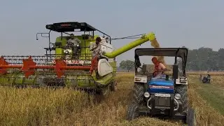NEW VISHAL 435 COMBINE HORVESTER #agriculture #khetibadi #vishal435 #village #kisan #horvester 