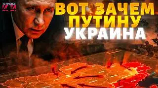 Это ХОТЕЛИ СКРЫТЬ! Соловьев СДАЛ Путина с потрохами: неожиданная причина войны в Украине
