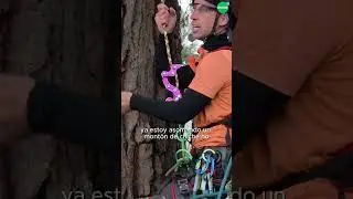 T&eacute;cnica de trepada en poda en altura con Lisandro Barrera