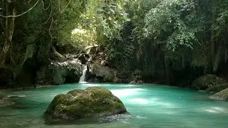 🔴🌿Babbling Stream & Waterfall Ambience with Birds &ndash; Relaxing Nature Sounds for Sleep, Study & Peace