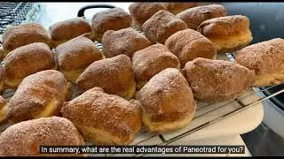 PANEOTRAD EvO Hamm EN