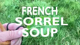 Sorrel Soup