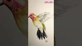 1 Minute Painting. Humming Bird Painting.Easy Drawing#shorts  #1minutepainting#Hummingbird #jforjita