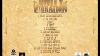 Unity Vibration - Unit&eacute;