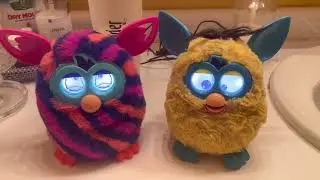 Furby boom Jolly personality￼ and crazy 2012 Furby personality￼