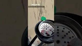 Hookah Coconut Charcoal Black Mamba (Link in bio) #shopdop #hookahwholesale
