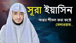 সূরা ইয়াসিন | কুরআনের হৃদয় | প্রশান্তির তিলাওয়াত | ক্বারী আবু রায়হান