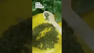 பல மடங்கு  சத்துக்களை அள்ளி கொடுக்கும் விதைகள்#Seeds#healthyfood #viral #trending #order 9150778797
