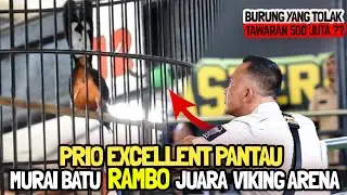VIKING ARENA FEAT MP : WOW❗AKSI MURAI BATU RAMBO TIKET 1,5 JUTA JUARA  DI PANTAU PRIO EXCELLENT🔥