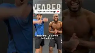 MARTIAL ARTS COPYCAT CHALLENGE (gone wrong)