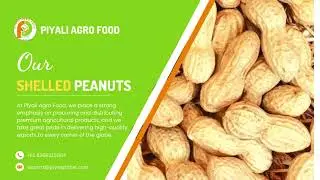 Shelled peanuts for Sale