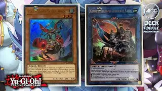 Yu-Gi-Oh! BEETROOPER Deck Profile - Post DAWN OF MAJESTY | August 2021