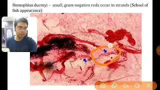 AIIMS/NEET PG - MICRO Pics.