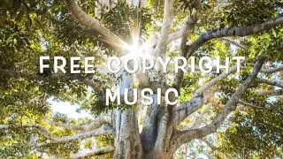 Vexento - ( FREE COPYRIGHT MUSIC )