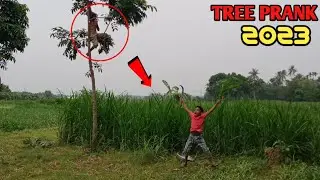 NEW TREE PRANK VIDEO 2023!Try not to laugh prank videos||Fun king present part-19