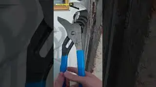 Tenants think they can Stop their Eviction | HoltonWiseTV Highlights