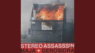 STEREO ASSASSSIN