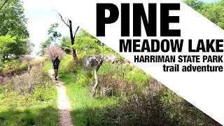 Pine Meadow Lake Adventure at Harriman State Park