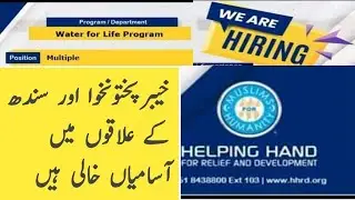 Helping Hand NGO jobs 2023 | New Jobs 2023 in Pakistan Today
