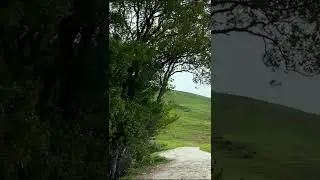 Birds sound while hiking. Mission Peak.