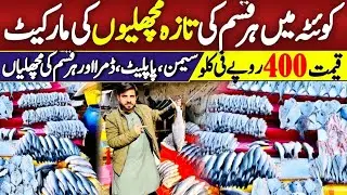 Fish market Quetta | Cheapest fresh Fish Market in Pakistan | @arshadkhanideas
