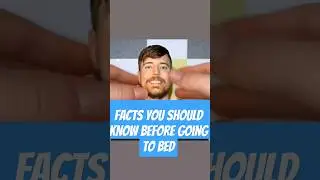 Last one is crazy!#facts #mindexpandingfacts #science #shorts