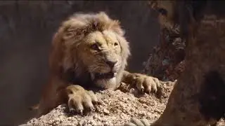 Tiger roar vs Lion roar | The Actual sound in Movies