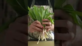 Cooking with Ramps! (Wild Onions) #shorts