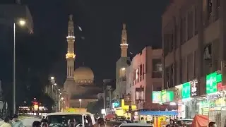 DUBAI AL SATWA 