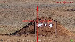 11.24 zeroing session - Sightmark Wraith Mini - FFP - PSA 11.5 supressed