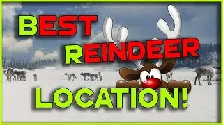 Call of the Wild - BEST PLACE FOR REINDEER