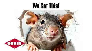 Orkin - We Got This! Quality Pest Control Services for Less (Horizontal)
