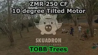 ZMR 250 CF - TOBB Trees LuxFloat PID Test