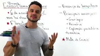 Ecologia - Biomas Brasileiros  - Parte I